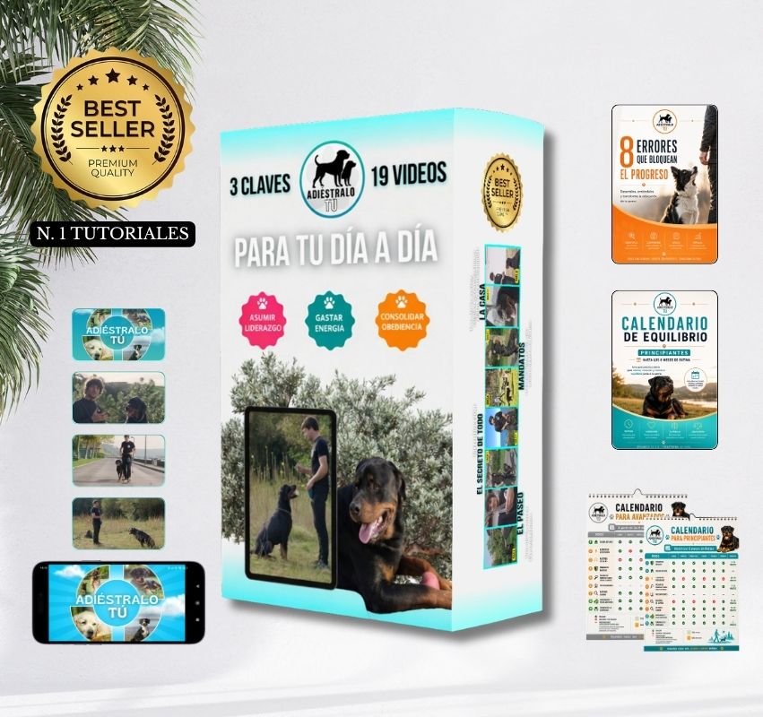 Videotutorial de Rutina+ Manual de Transformación