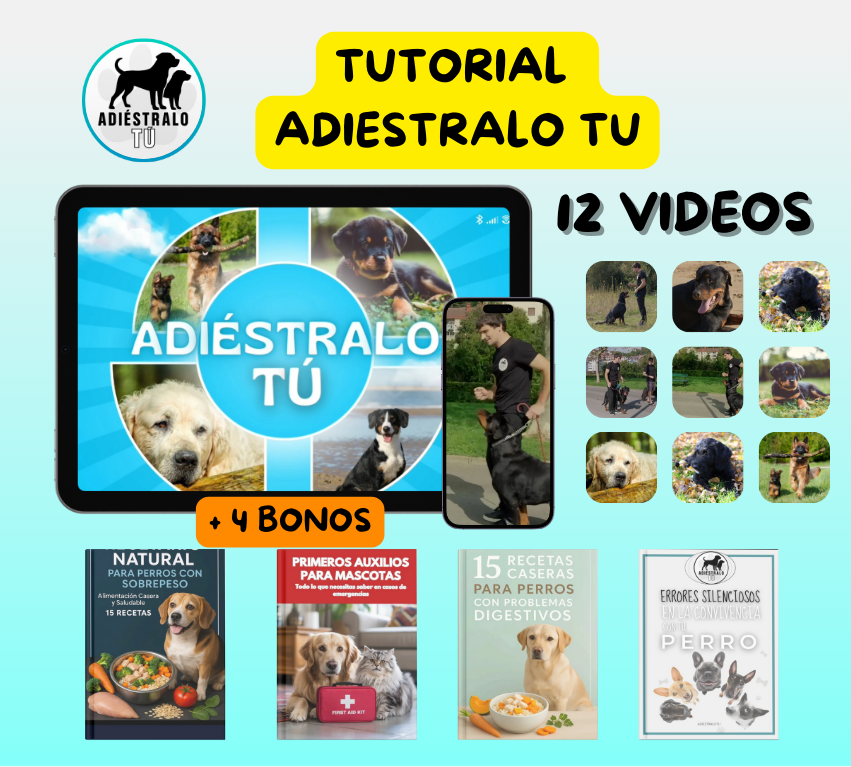 Tutorial Adiestramiento